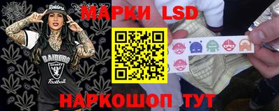 PSILOCYBIN Донской