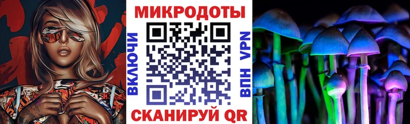 где купить наркоту  Нижнеудинск  Галлюциногенные грибы MAGIC MUSHROOMS 