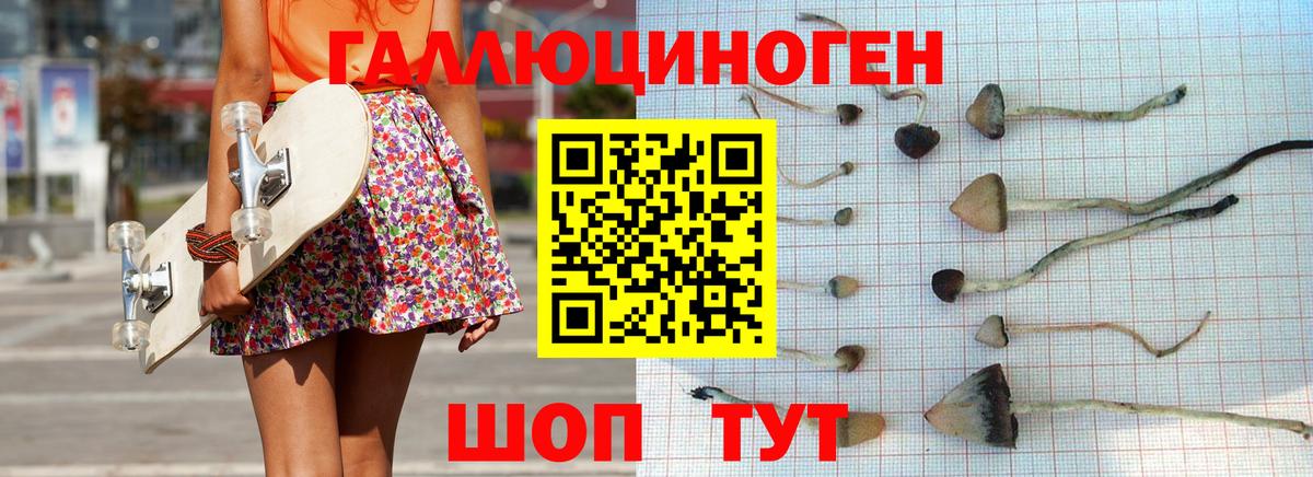 Нижнеудинск  Псилоцибиновые грибы MAGIC MUSHROOMS  Галлюциногенные грибы Psilocybe  Вход с VPN 